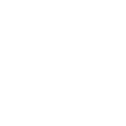 TG Icon